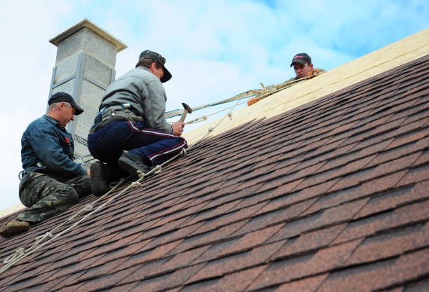 Best Storm Damage Roof Repair  in Woodville, MS